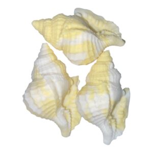 E49F256C-3677-45AA-ACB6-70018F9F02D7_L0_001.JPG