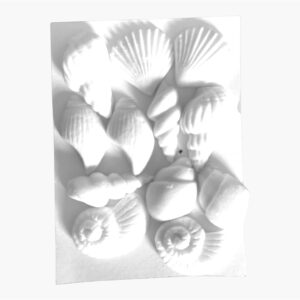 Photoroom_20250626_180813.JPEG